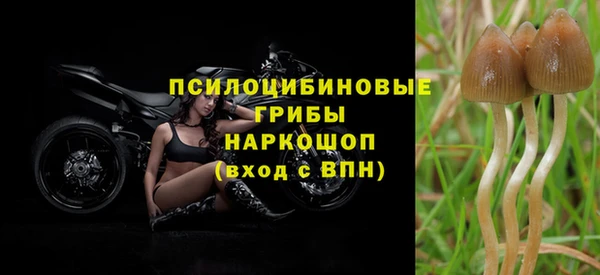 дурь Коряжма